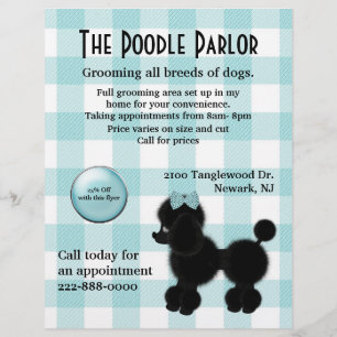 Stijlvolle Dog Care Flyer