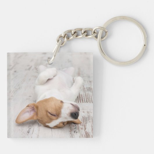 Stijlvolle Eenvoudige Moderne Hond Naam 2 Foto Sleutelhanger (Achterkant)