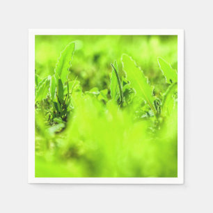 Stijlvolle Felgroene Zonnegras Papieren Serviet Servet