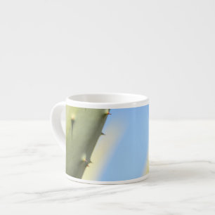 Stijlvolle groene aloë blauwe lucht espressokoffie espresso kop