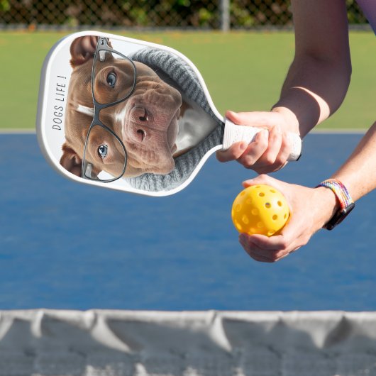 Stijlvolle hondenfoto grappig modern pickleball paddle (Insitu)