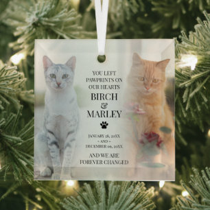Stijlvolle huisdierherdenking 2 katten foto glas ornament
