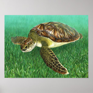 Stijlvolle jonge groene schildpad poster
