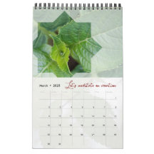 Stijlvolle kalender