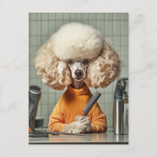 Stijlvolle poedel grooming sessie briefkaart
