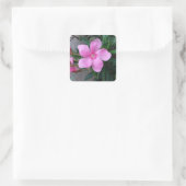 Stikers (20) vierkante hakjes sticker (Tas)