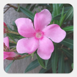 Stikers (20) vierkante hakjes vierkante sticker