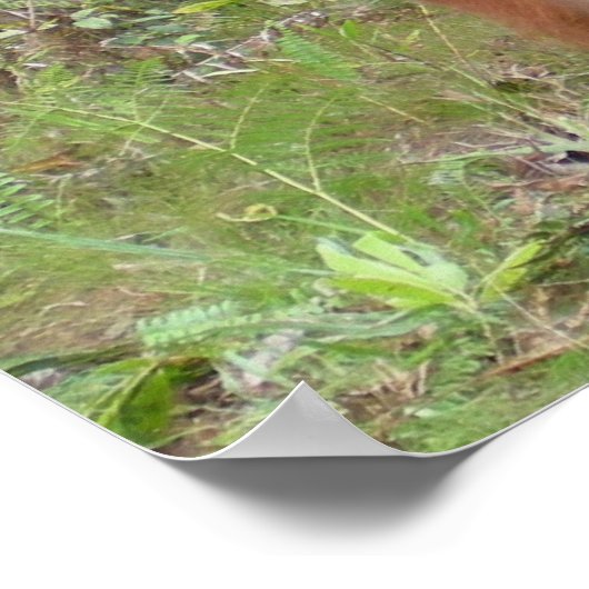 Stil alsjeblieft Classroom Poster (Hoek)