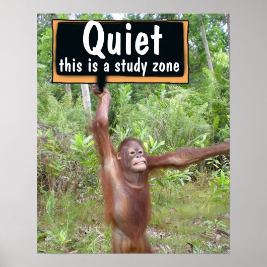 Stil alsjeblieft Classroom Poster (Voorkant)