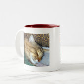 Stil dromen tweekleurige koffiemok (Voorkant links)