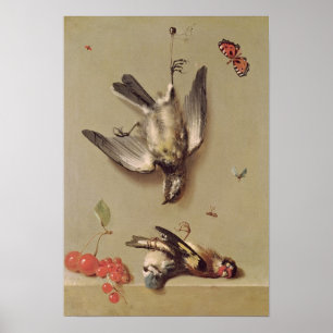 stil leven van dode vogels en kersen, 1712 poster