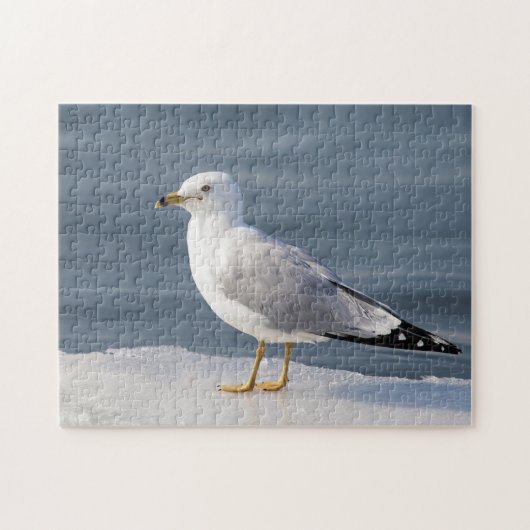 Stil op ijs legpuzzel (Horizontaal)