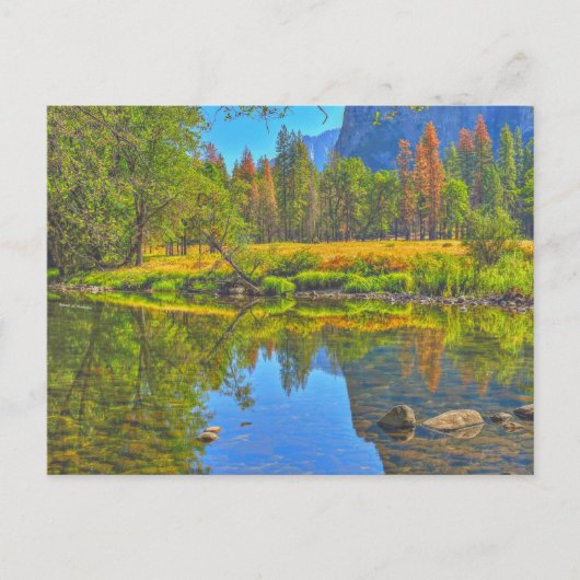 Still Water Briefkaart (Voorkant)