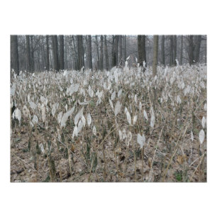 Stille Bosstilte Perfect Poster