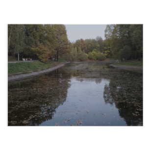 Stille Herfstmeer - Nordic Mist Editie Perfect Poster