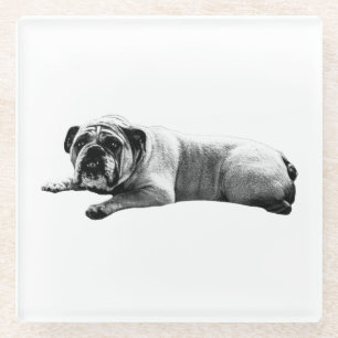 Stille Momenten met Bulldog Glazen Onderzetter