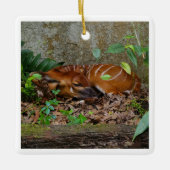 Stille nacht berg Bongo antilope kalf Keramisch Ornament (Voorkant)