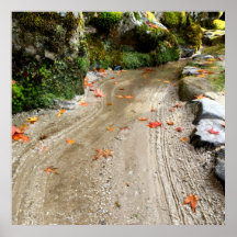 Stille Passage — Japanse Wabi-Sabi Fotoposter