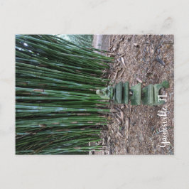 stille reflectie briefkaart