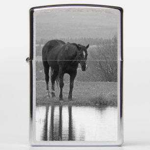Stille reflecties ~ Paard Zippo aansteker