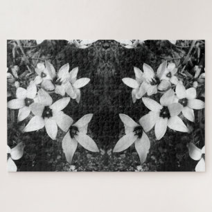 Stille Symmetrie Legpuzzel