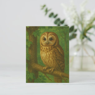 Stille wachter van het bos briefkaart