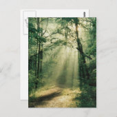 stille wandelweg briefkaart (Voorkant / Achterkant)