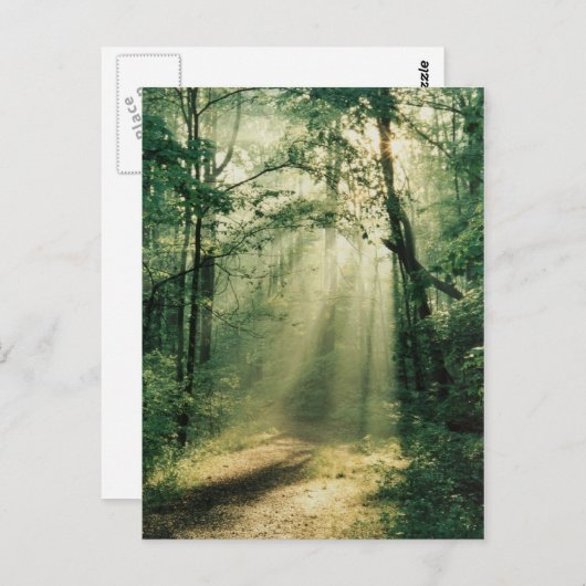 stille wandelweg briefkaart (Voorkant / Achterkant)