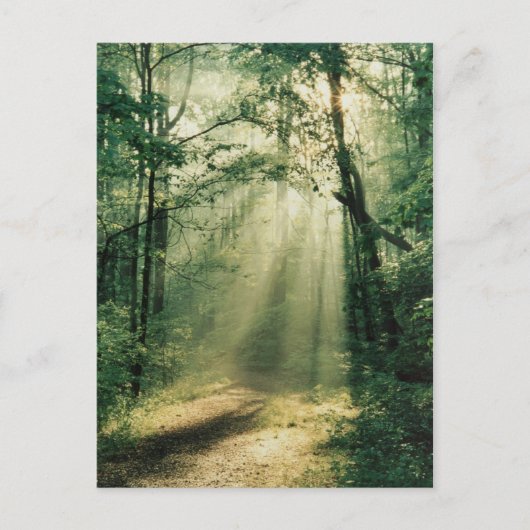 stille wandelweg briefkaart (Voorkant)