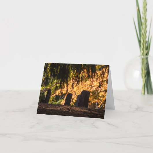 Stille zonsondergang kaart (Voorkant)