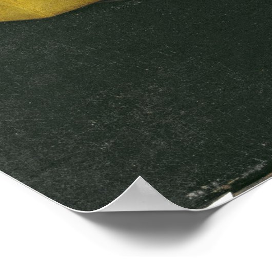 Stilleven, 1663 poster (Hoek)