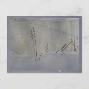 stilleven in winter wit briefkaart