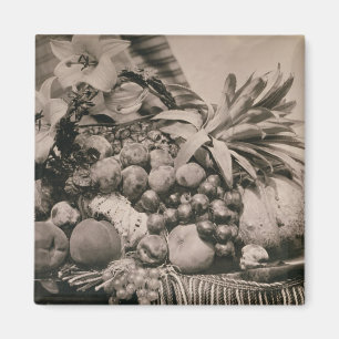 Stilleven met fruit, 1860 (foto sepia) magneet
