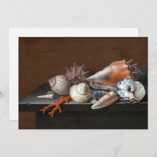 Stilleven met schelpen | Johann Jakob Dietzsch (Voorkant / Achterkant)