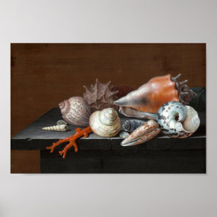 Stilleven met schelpen   Johann Jakob Dietzsch Poster