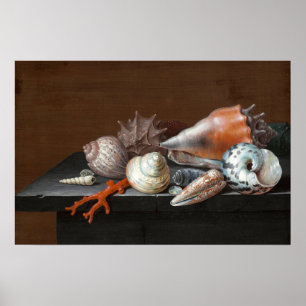 Stilleven met schelpen Johann Jakob Dietzsch Poster