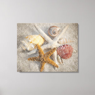 Stilleven van Starfish/Shell/Sand Beach Canvas Afdruk