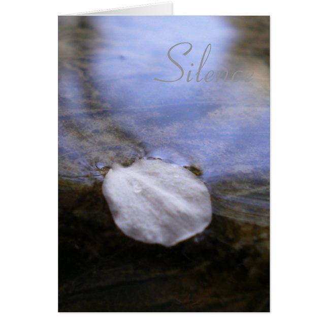 Stilte (Voorkant)