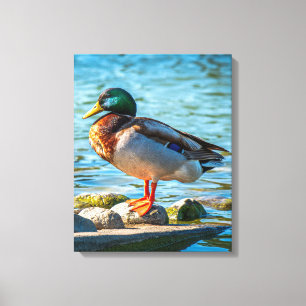 Stilte aan de kust canvas afdruk