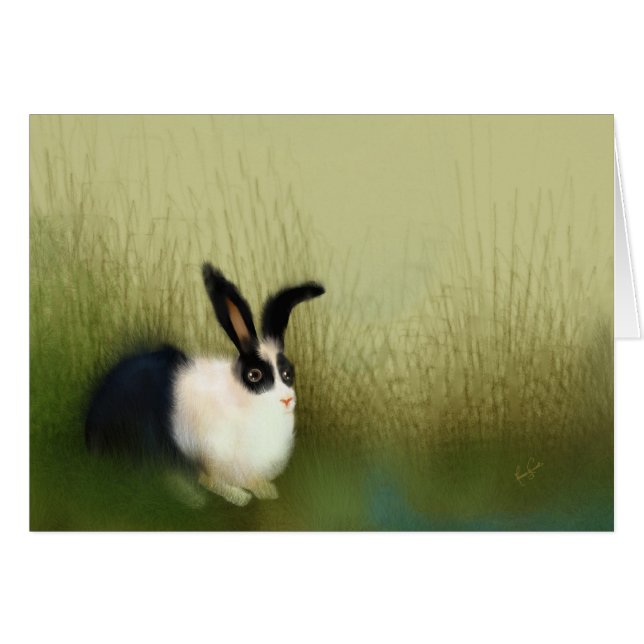 Stilte bij de Kaap (Voorkant Horizontaal)