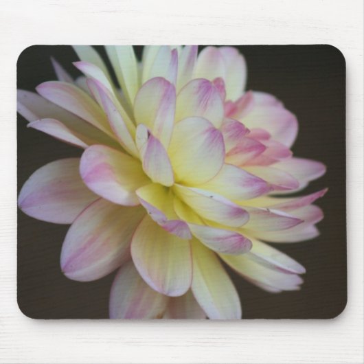 Stilte Muismat (Voorkant)