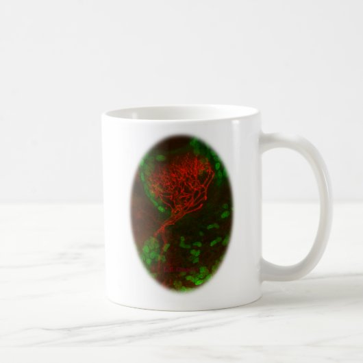 Stimulez vos neurones ! tasse de café (Droite)