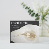 Sting Ray Fossil, Fossil Butte Nationaal Monument Briefkaart (Staand voorkant)