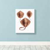 Stingray #1 gewikkeld canvas kunst aan de muur (Insitu (Houten vloer))