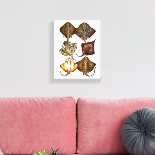 Stingray #3 gewikkeld Canvas Art (Insitu (Woonkamer))