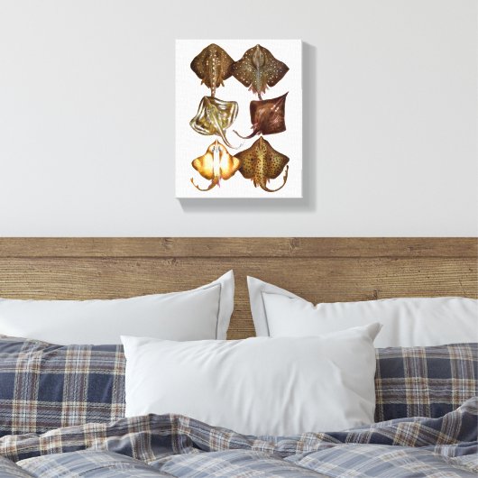 Stingray #3 gewikkeld Canvas Art (Insitu (Slaapkamer))