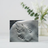 Stingray Briefkaart (Staand voorkant)