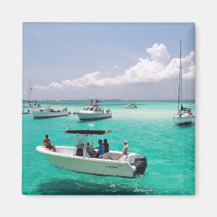 Stingray City Grand Cayman Islands Magnet Magneet