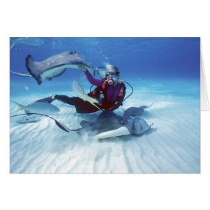 Stingray City, Grand Cayman, Kaaimaneilanden,