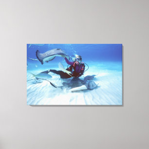 Stingray City, Grand Cayman, Kaaimaneilanden, Canvas Afdruk